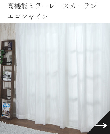 エコシャイン