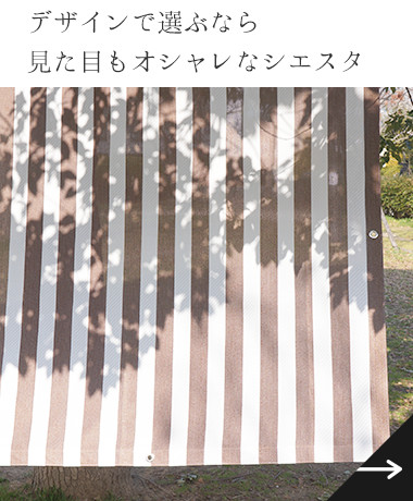 シエスタ